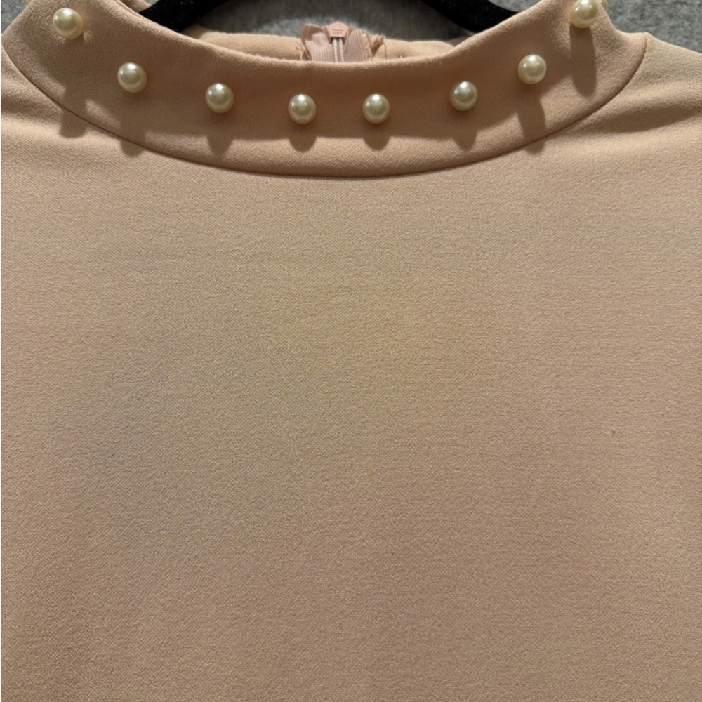 Nema Avenue Soft Blush Pink A-Line Fit&Flare Dress W/ Pearl Detail NWT 1X - Picture 3 of 10